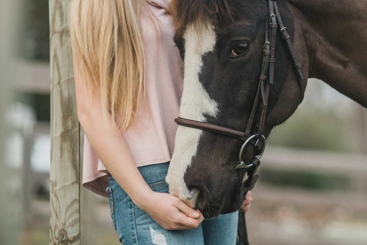 quanto costa mantenere un cavallo senza maneggio