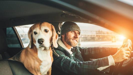 Tutela Legale Cane e Gatto